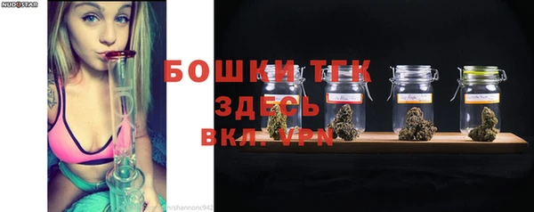 сатива Курчалой