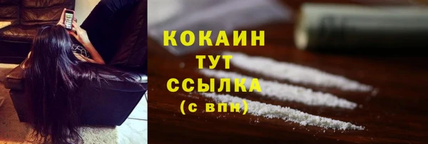 спайс Сясьстрой
