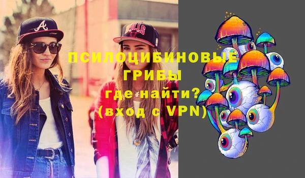 mdpv Верхний Тагил