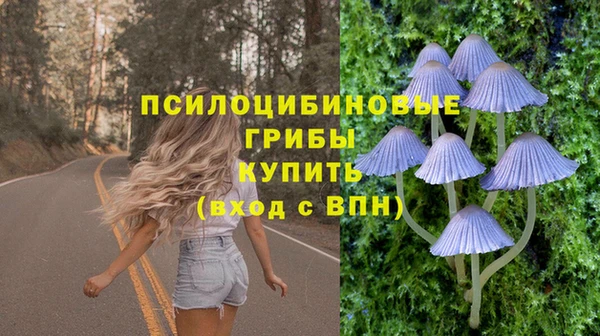 mdpv Верхний Тагил
